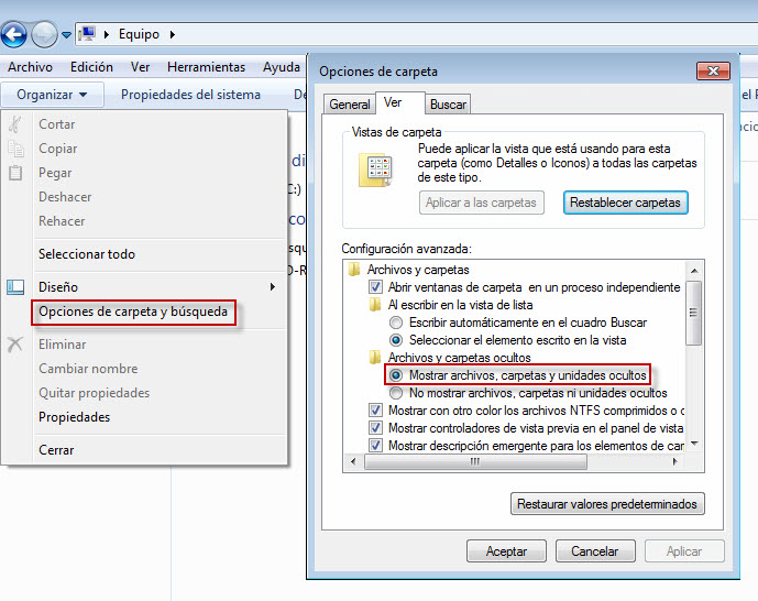 windows_enable_hidden_files_es
