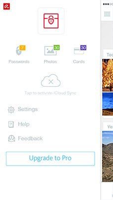 Avira Vault Pro - Premium features